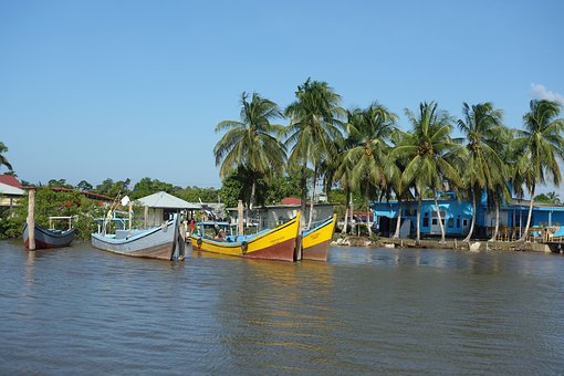 蘇里南對中國免簽,蘇里南海關規(guī)定解讀1